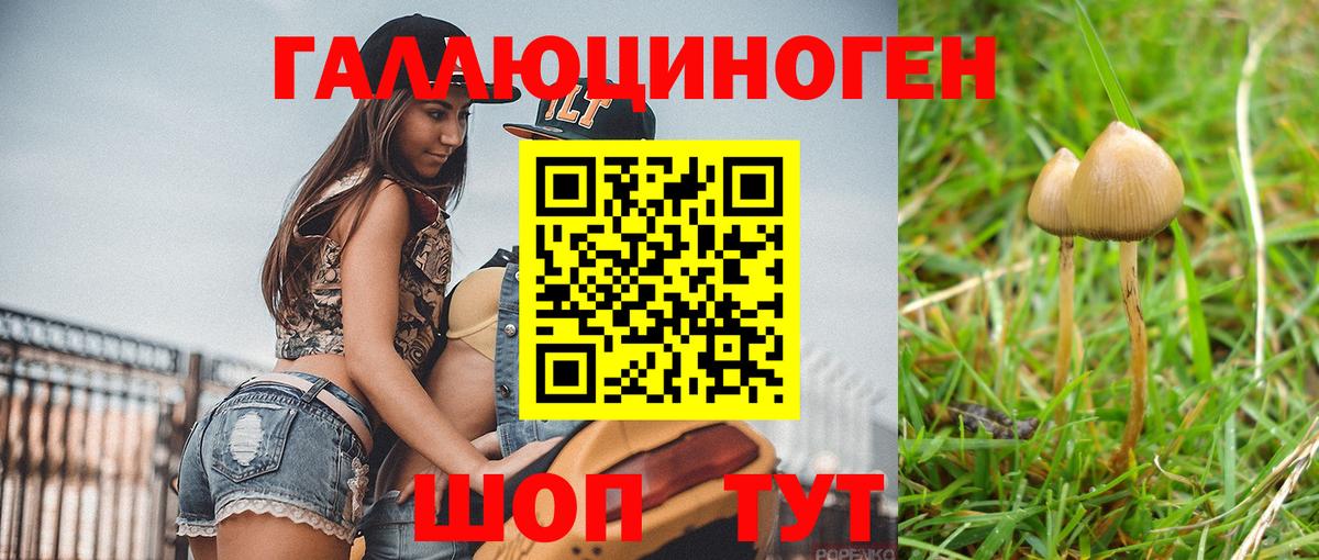 Краснодар  Псилоцибиновые грибы Magic Shrooms  Вход с VPN 